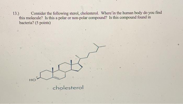 Solved 13.) Consider the following sterol, cholesterol. | Chegg.com