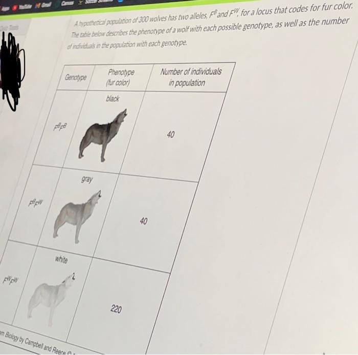 Solved HE A hypothetical population of 300 wobes has two | Chegg.com