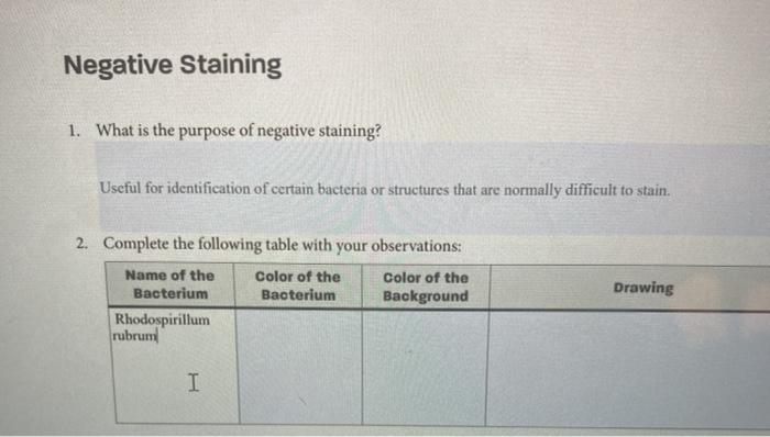 Solved Negative Staining 1. What is the purpose of negative | Chegg.com