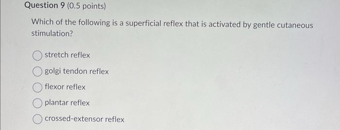 Solved Which of the following is a superficial reflex that | Chegg.com
