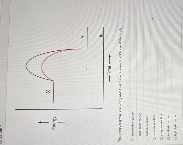 Solved Molecule X is most likely a/an coenzyme holoenzyme | Chegg.com