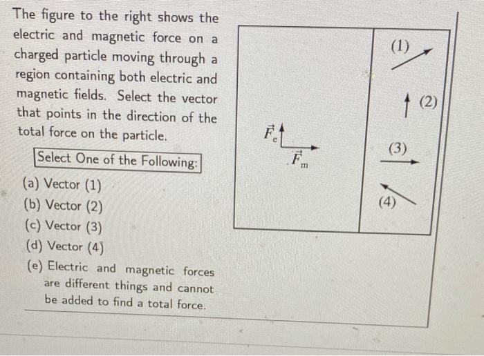 Solved The figure to the right shows the electric and | Chegg.com