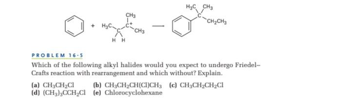 Solved PROBLEM 16⋅5 Which of the following alkyl halides | Chegg.com