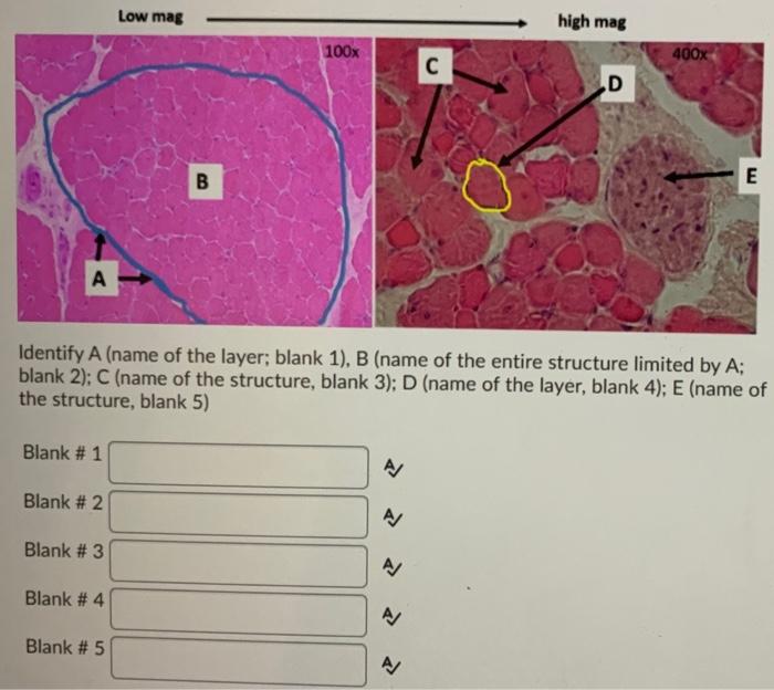 Solved B A B C Please Read The Entire Question Before | Chegg.com