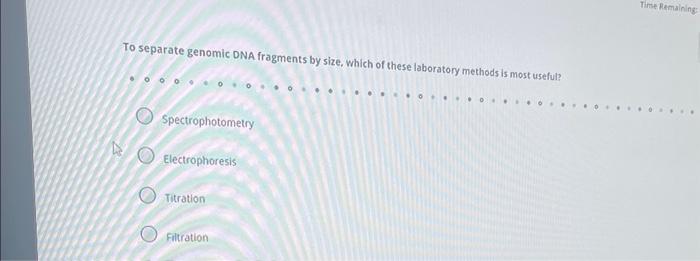 Solved To separate genomic DNA fragments by size, which of | Chegg.com