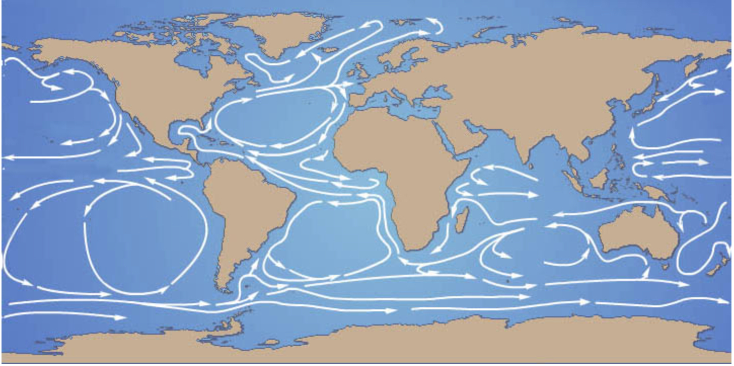 Solved Using the image provided below, complete the | Chegg.com