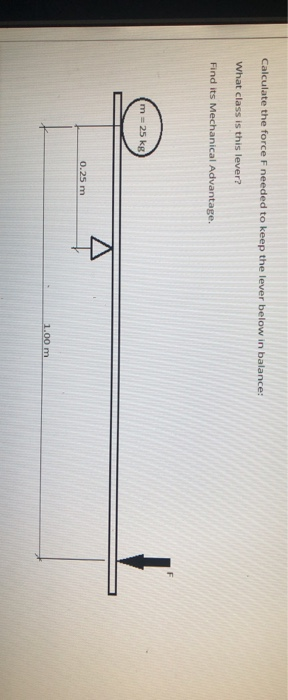 Nail cutter is an example of which lever picture
