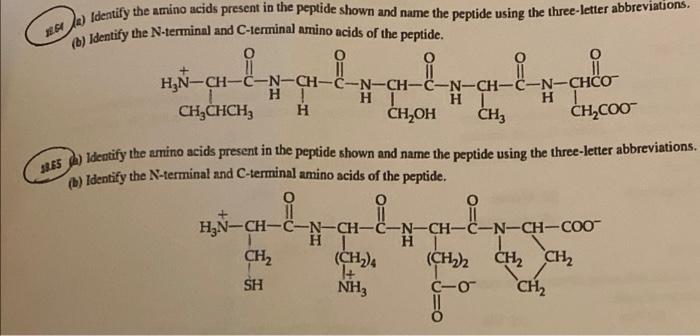 Solved Identify the amino acids present in the peptide shown | Chegg.com