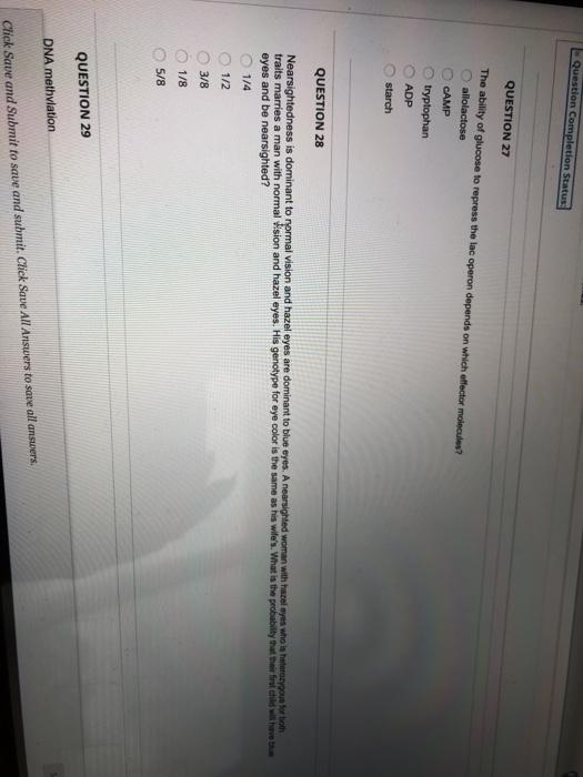 Solved Completion Status: QUESTION 21 Based on the gene and | Chegg.com