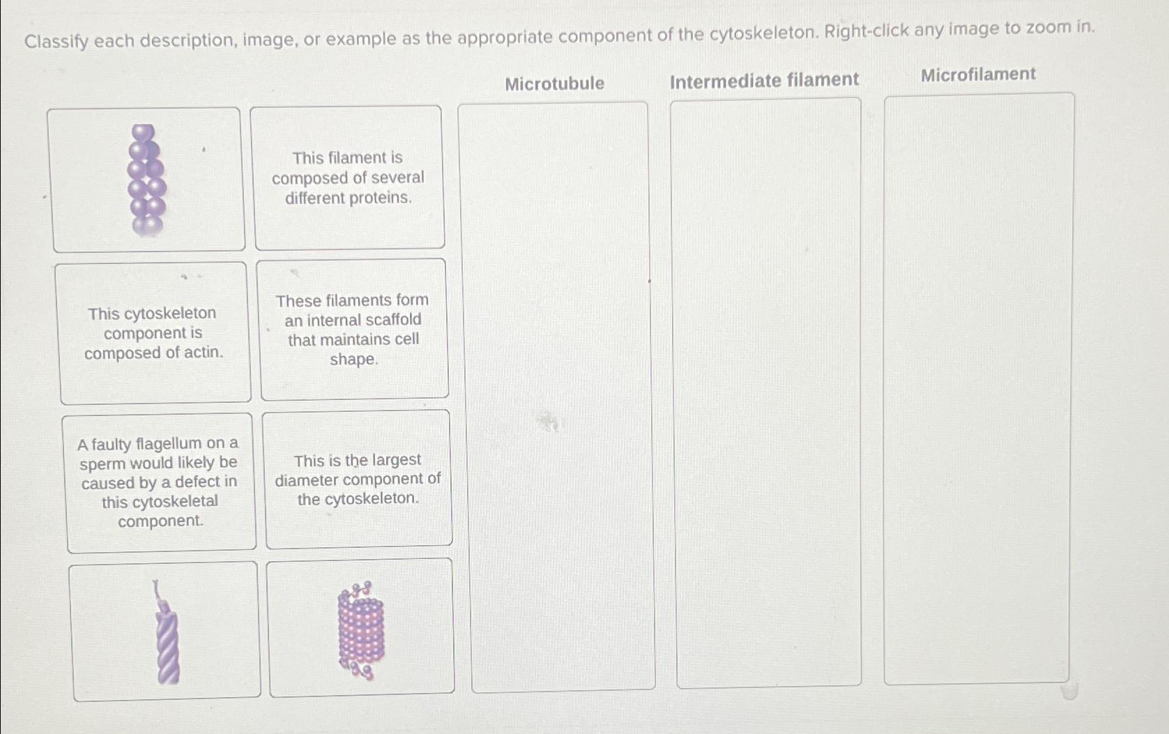 Solved Classify each description, image, or example as the | Chegg.com