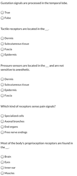 Solved Gustation Signals Are Processed In The Temporal Lobe. | Chegg.com