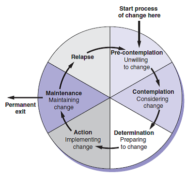 Chapter 10 Solutions | Occupational Therapy In Mental Health A Vision ...