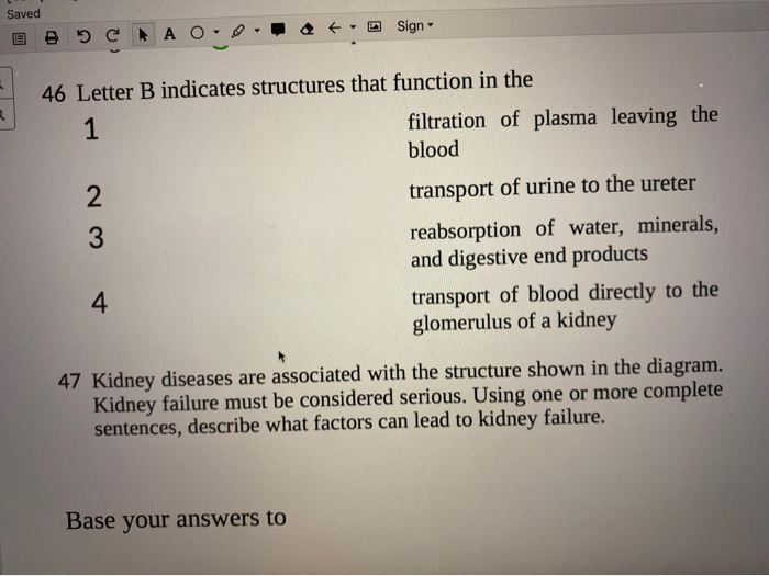Solved Base your answers to questions 45 through 47 on the | Chegg.com