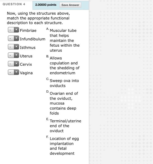 Solved QUESTION 8 4.00000 points Save Answer For each of the | Chegg.com