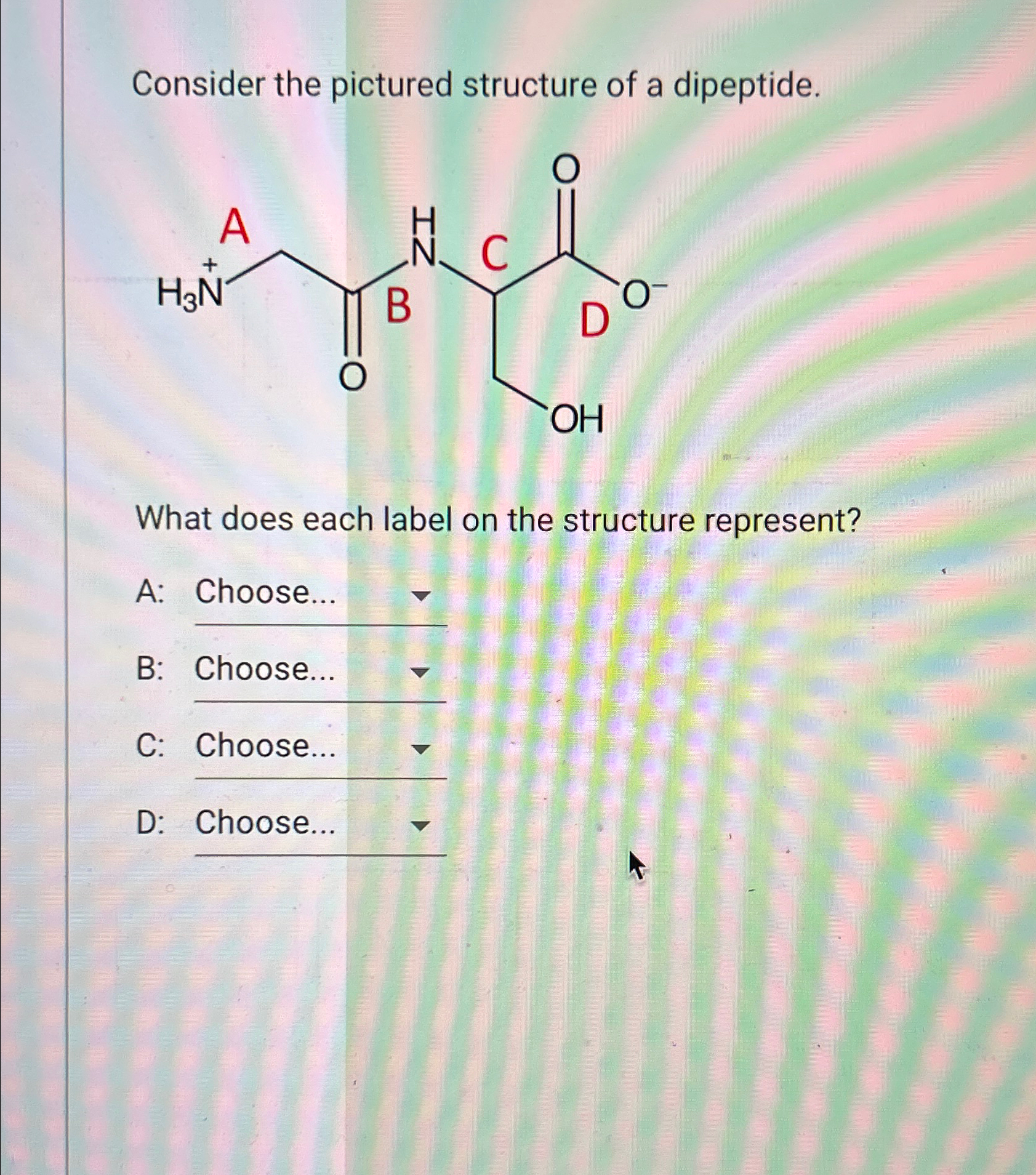 Consider the pictured structure of a dipeptide.What | Chegg.com