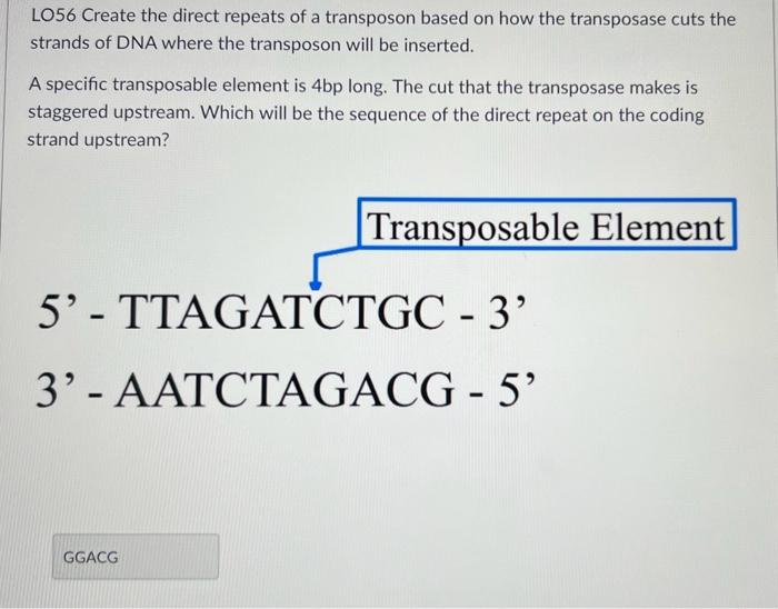 Solved LO56 Create the direct repeats of a transposon based | Chegg.com