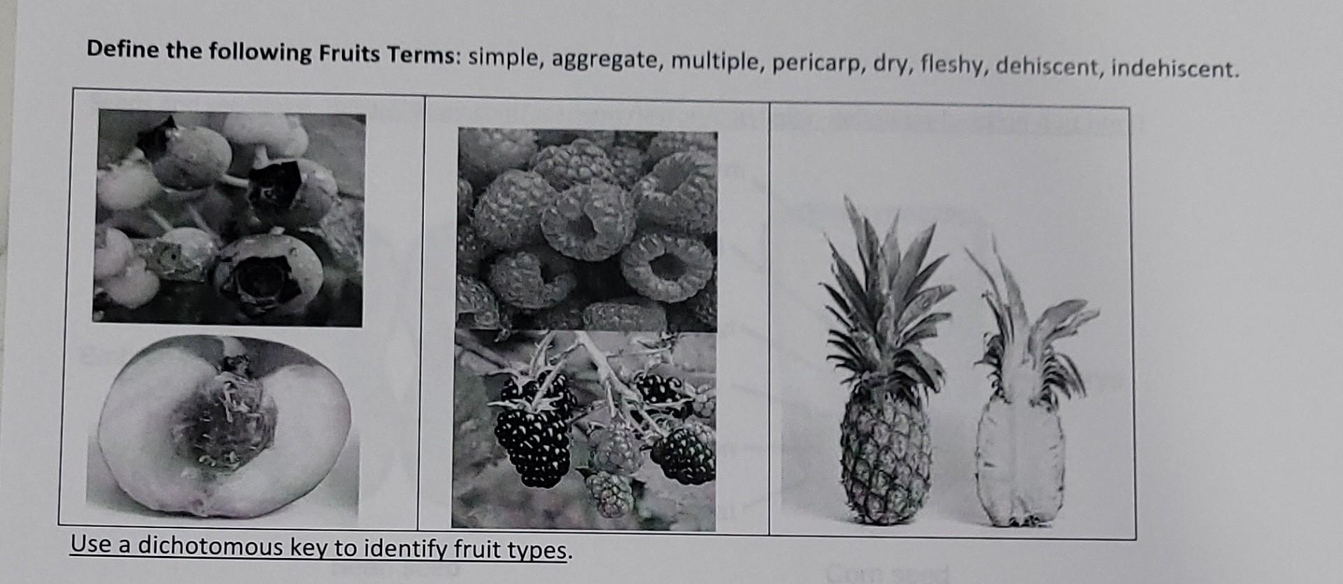 Solved Define the following Fruits Terms simple, aggregate,