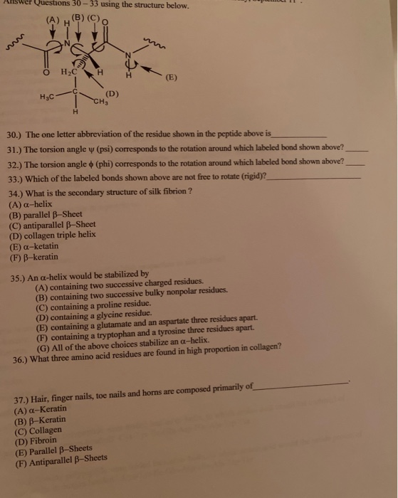 Solved Questions 30 - 33 using the structure below. (B) (C) | Chegg.com