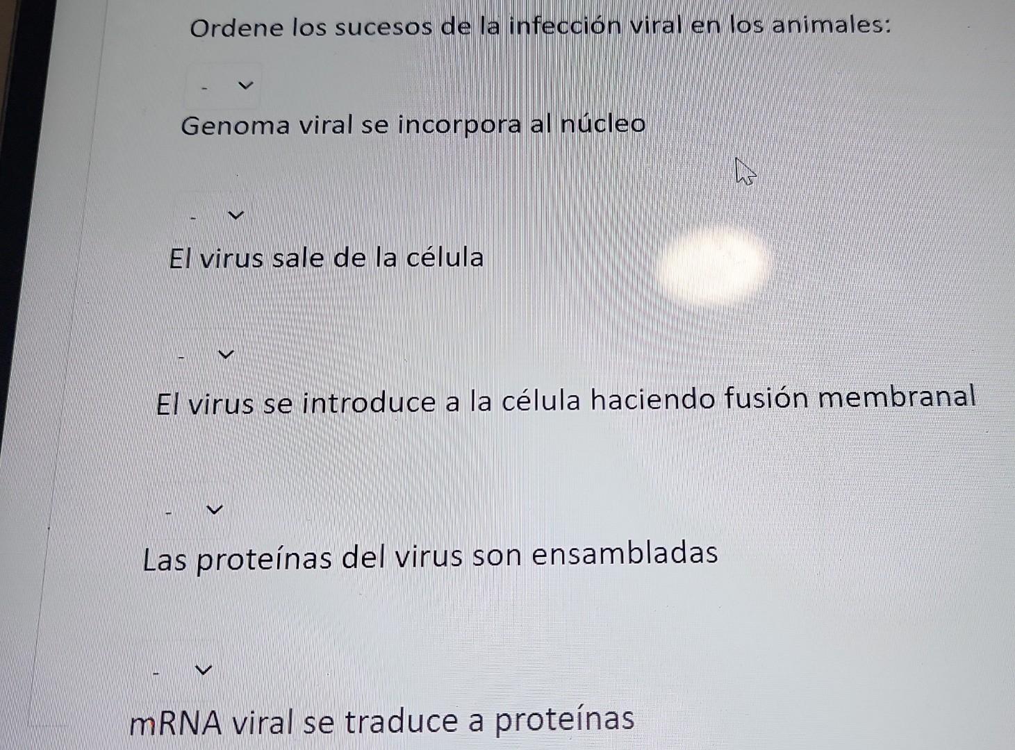 Ordene los sucesos de la infección viral en los animales: Genoma viral se incorpora al núcleo El virus sale de la célula El v