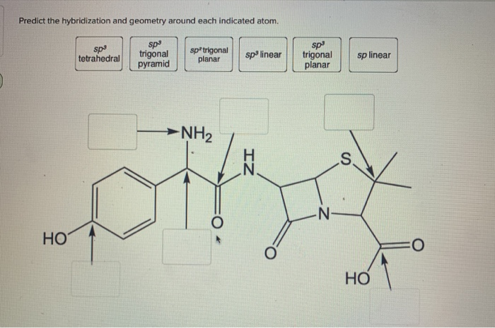 Predict The Hybridization And Geometry Around Each Chegg 