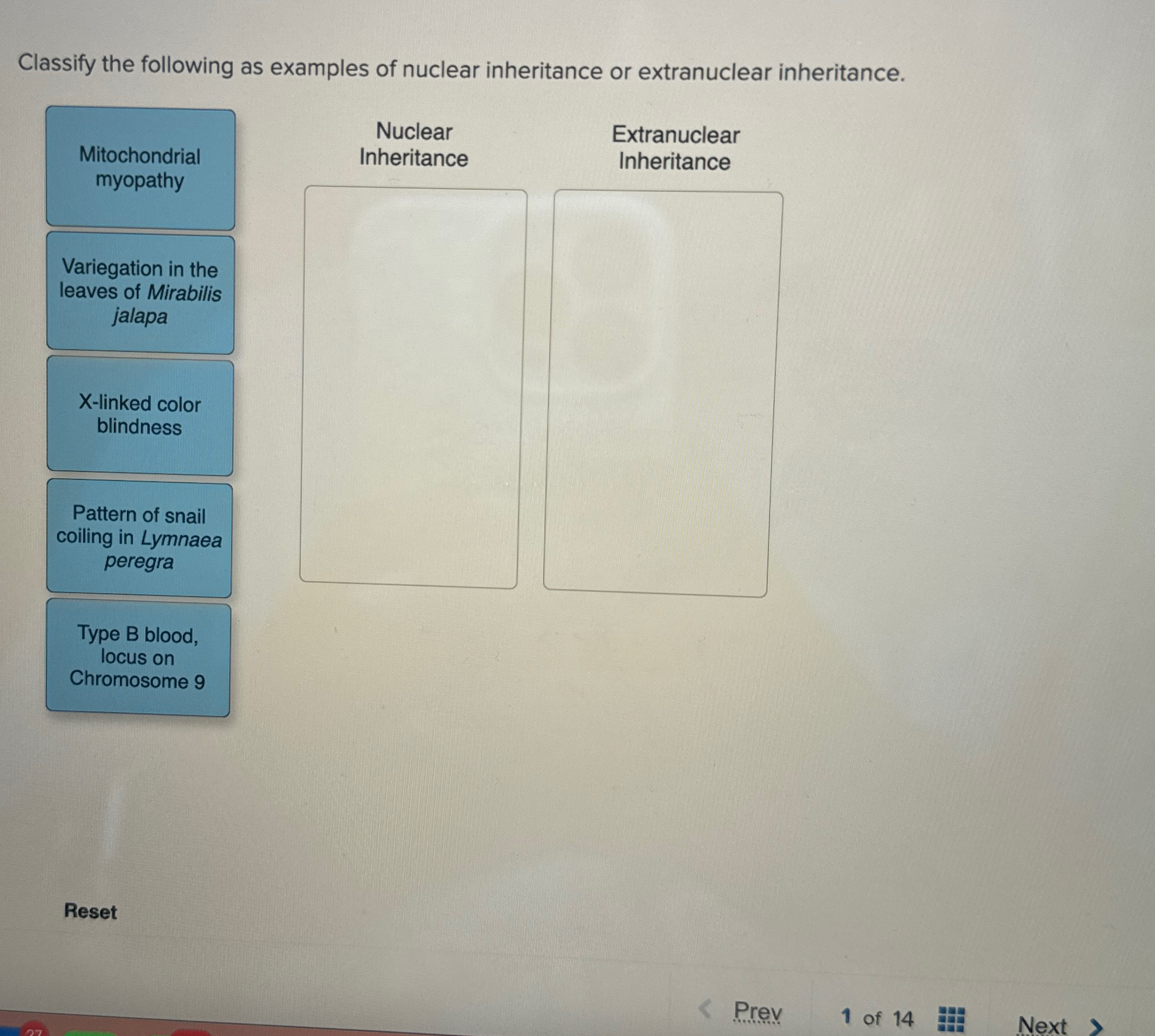 Solved Classify the following as examples of nuclear | Chegg.com