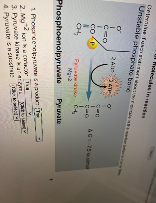 Solved molecules in reaction Determine if each statement | Chegg.com