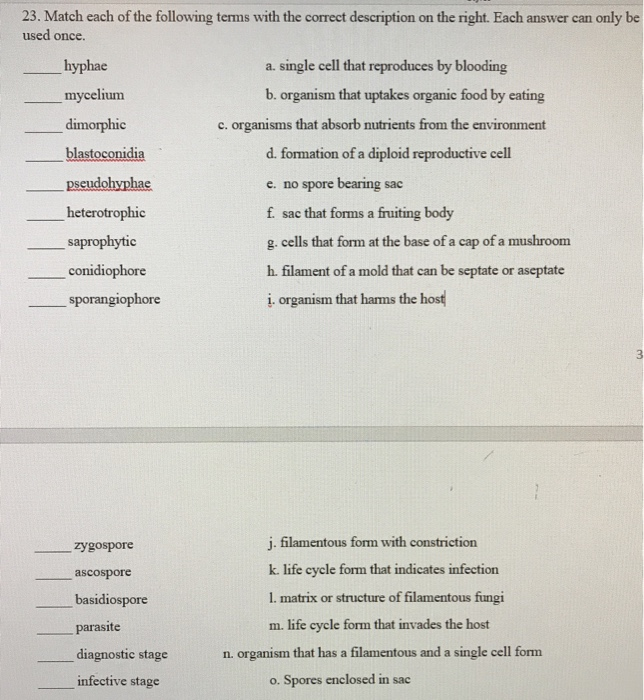 Solved 23. Match each of the following terms with the | Chegg.com