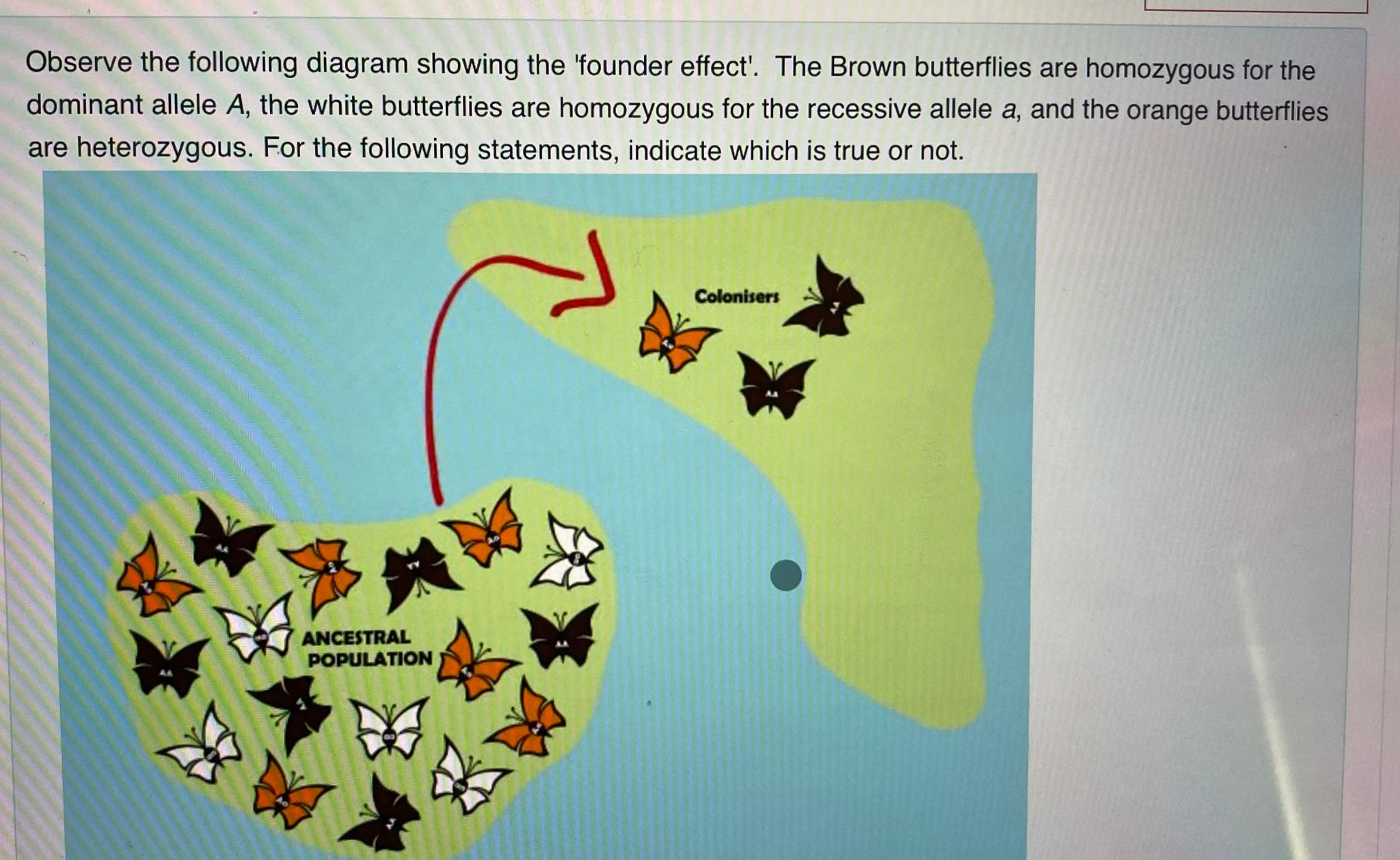 Solved Observe the following diagram showing the 'founder