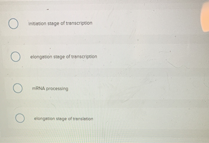 Solved What step of gene expression is shown in the figure? | Chegg.com