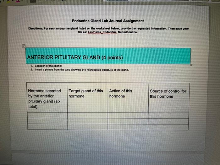 Solved Endocrine Gland Lab Journal Assignment Directlons