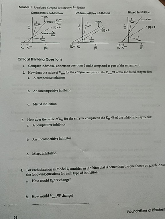 Solved Mixed Inhibition Model 1 Idealized Graphs of Enzyme