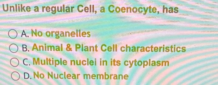 Unlike a regular Cell, a Coenocyte, has
A. No organelles
B. Animal \& Plant Cell characteristics
C. Multiple nuclei in its cy