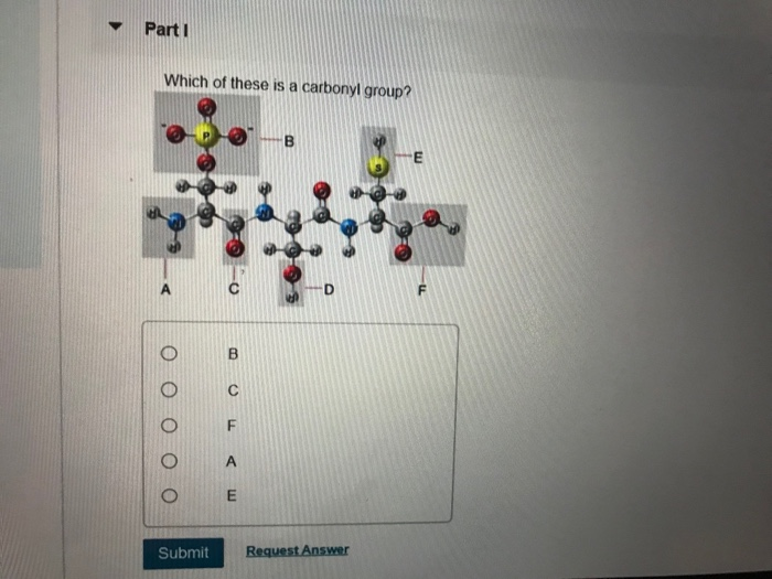 Solved Part F Which of the functional groups behaves as a | Chegg.com