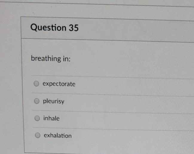 Solved Question 35 breathing in: expectorate O pleurisy | Chegg.com