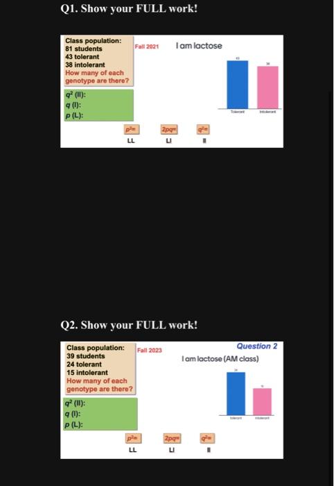 Solved Q1. Show Your FULL Work! Q2. Show Your FULL Work! | Chegg.com