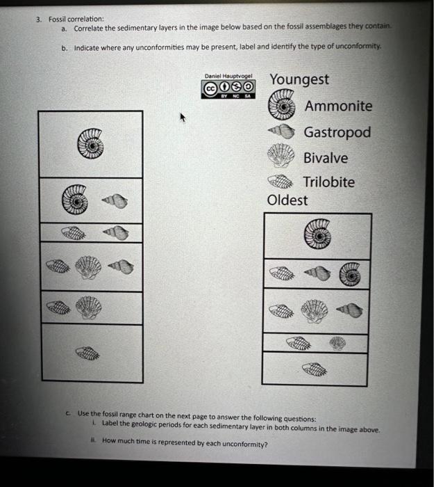 3. Fossil correlation a. Correlate the sedimentary