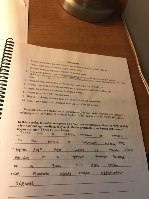 Solved can someone help me with a sample microbiology lab