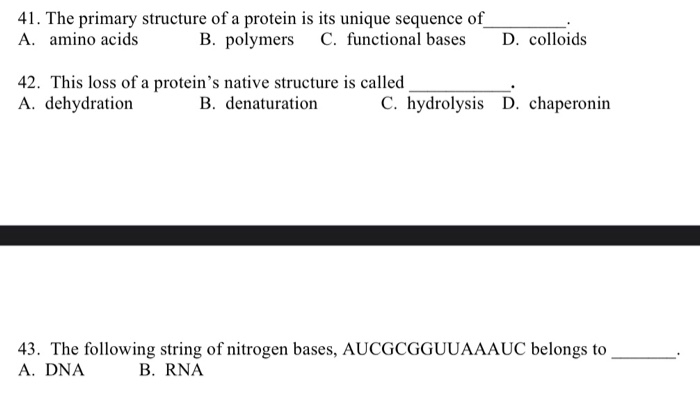 Solved 41. The primary structure of a protein is its unique | Chegg.com