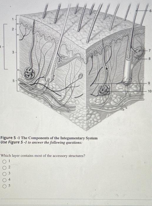 Solved H 1 2 7 3 8 5 10 Figure 5 1 The Components of the