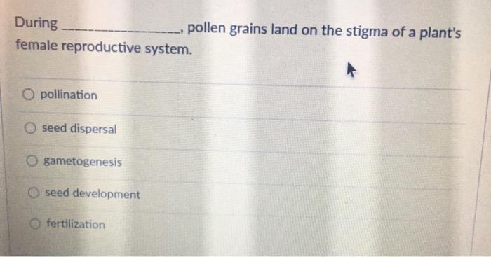 Which Statement Best Describes Mendel S Law Of Chegg 