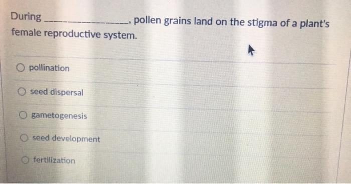 Which Statement Best Describes Mendel S Law Of Chegg 