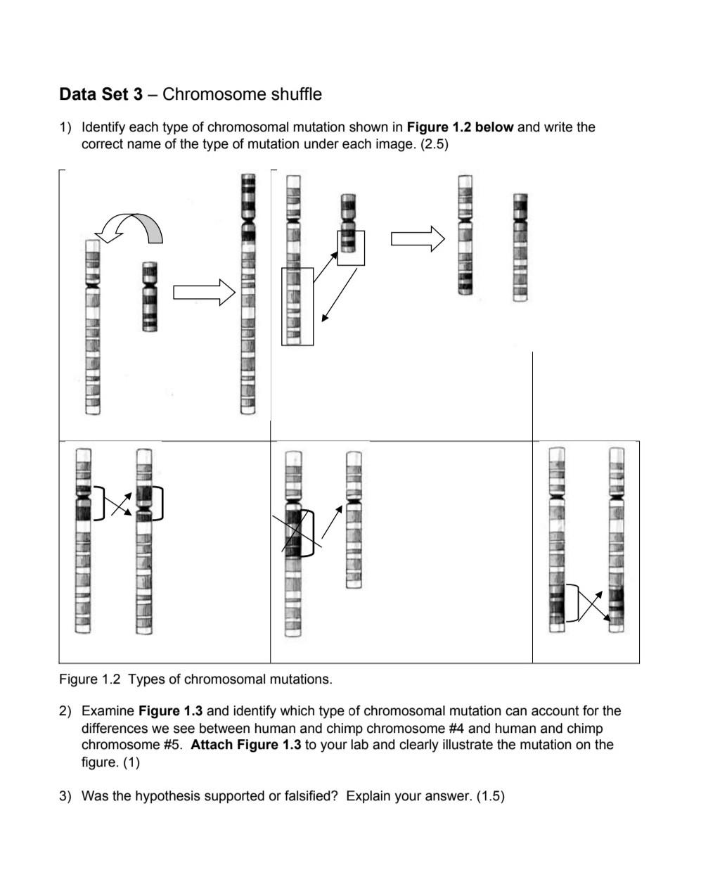 Solved Data Set 1 - Compare human and chimpanzee physical | Chegg.com