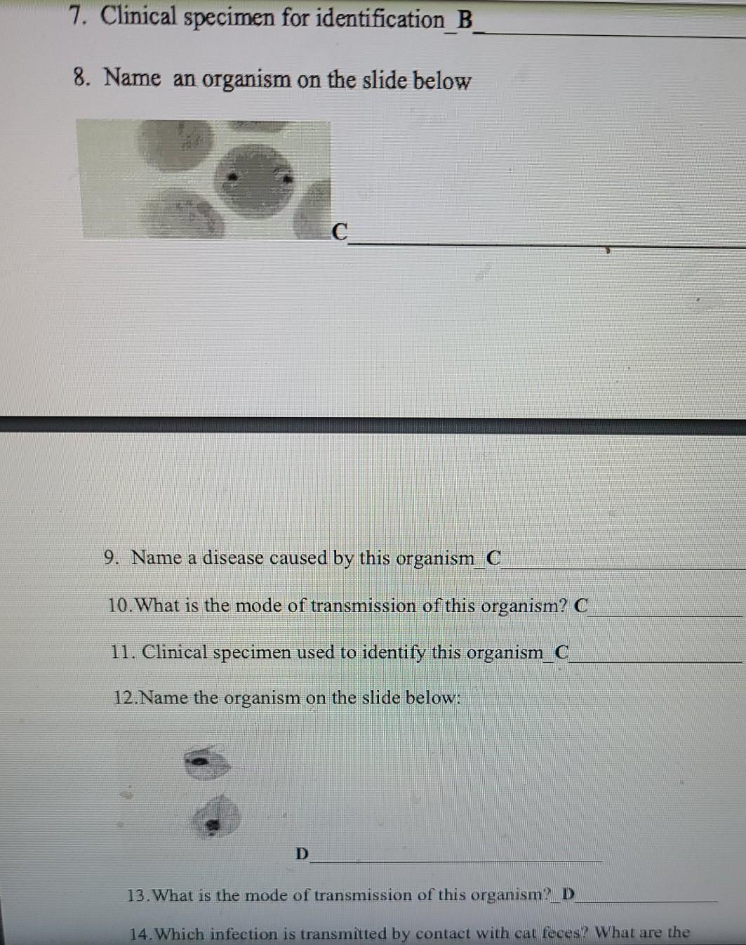 Solved PROTOZOA WORKSHEET 1. Identify the organism. A 2. | Chegg.com