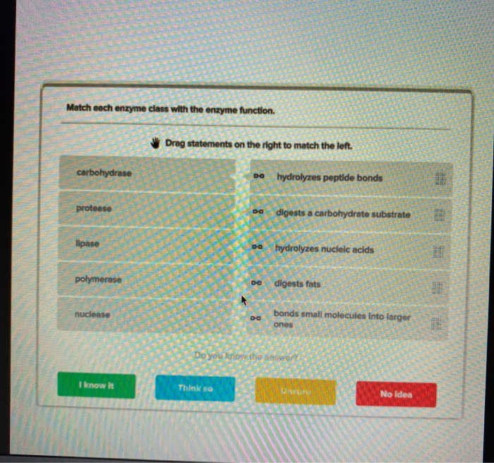 Solved Match each enzyme class with the enzyme function. | Chegg.com