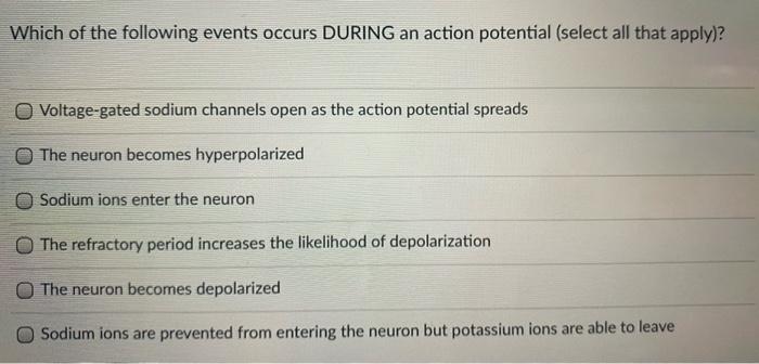 Which of the following events occurs DURING an action potential (select all that apply)? Voltage-gated sodium channels open a