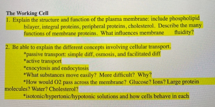Solved The Working Cell 1. Explain the structure and | Chegg.com