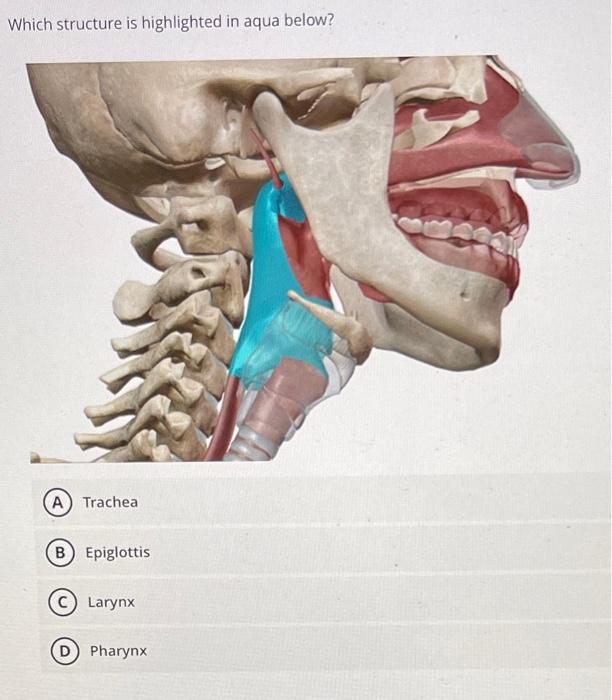 Solved Plese answer ALL of the following ASAP and will | Chegg.com