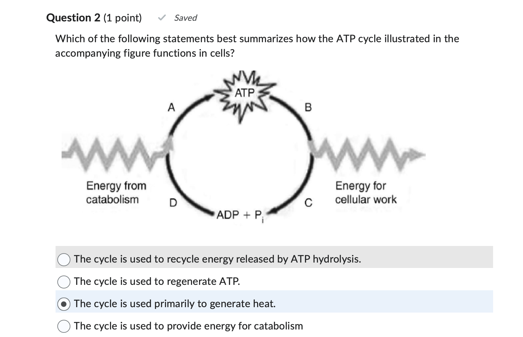 Solved Question 2 (1 ﻿point) ﻿Saved Which of the following | Chegg.com