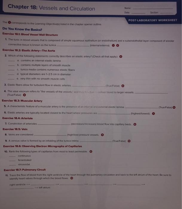 Solved Chapter 18 Vessels And Circulation Name Date Section Chegg