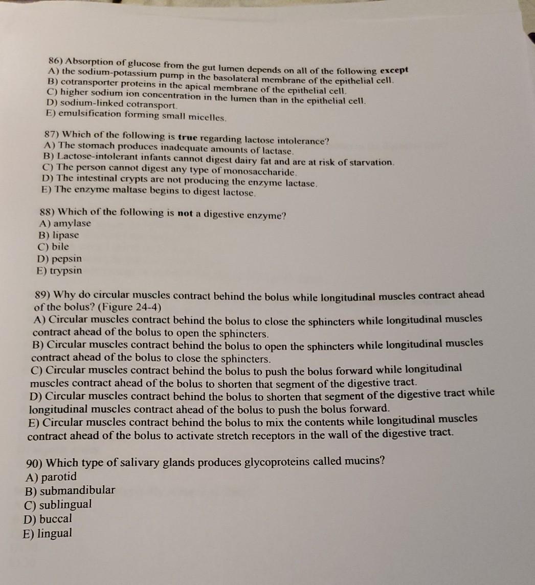 Solved 86) Absorption of glucose from the gut lumen depends | Chegg.com